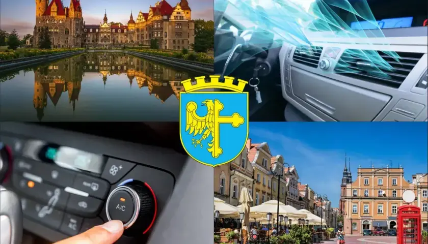 Kolaż: zamek, wnętrze samochodu z klimatyzacją, herb Łodzi, ulica miasta.